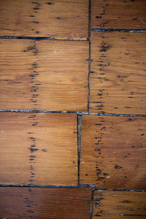 Dumbarton Street — detail 2