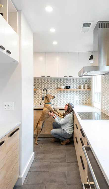 Kitchen Renovation at Townhouse, DC — after 3